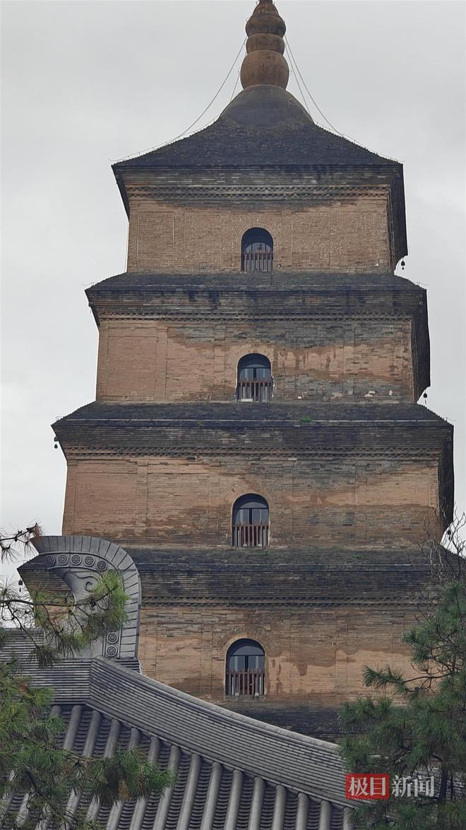 蘑菇大雁塔受潮城墙布满青苔气象局解释成因